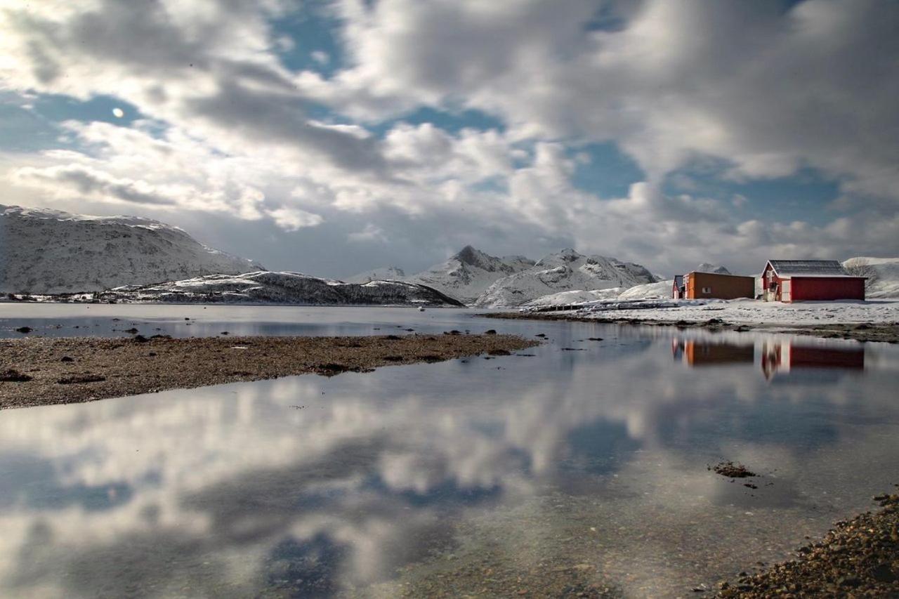 Storjord Farmstay Ranchhouse Kvaloya Exterior foto