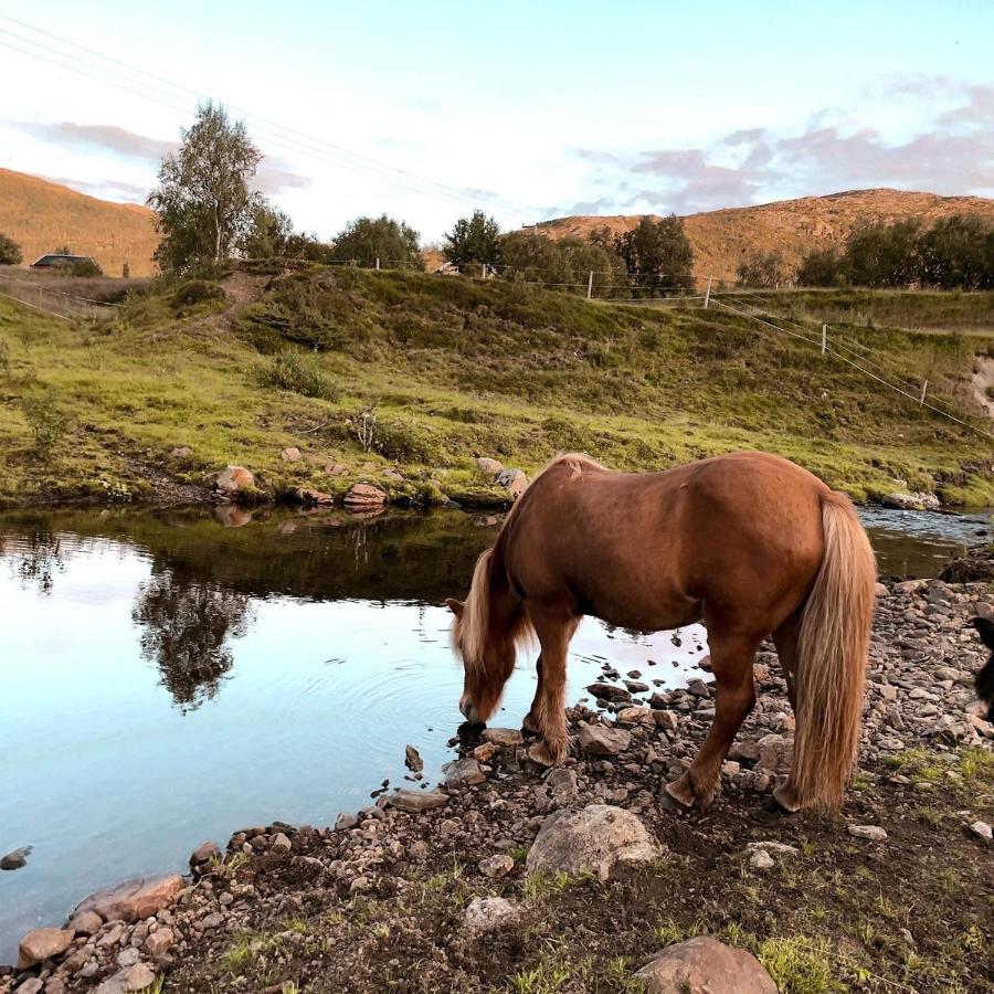 Storjord Farmstay Ranchhouse Kvaloya Exterior foto