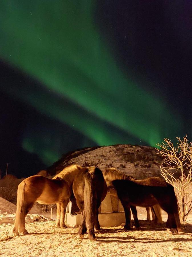 Storjord Farmstay Ranchhouse Kvaloya Exterior foto
