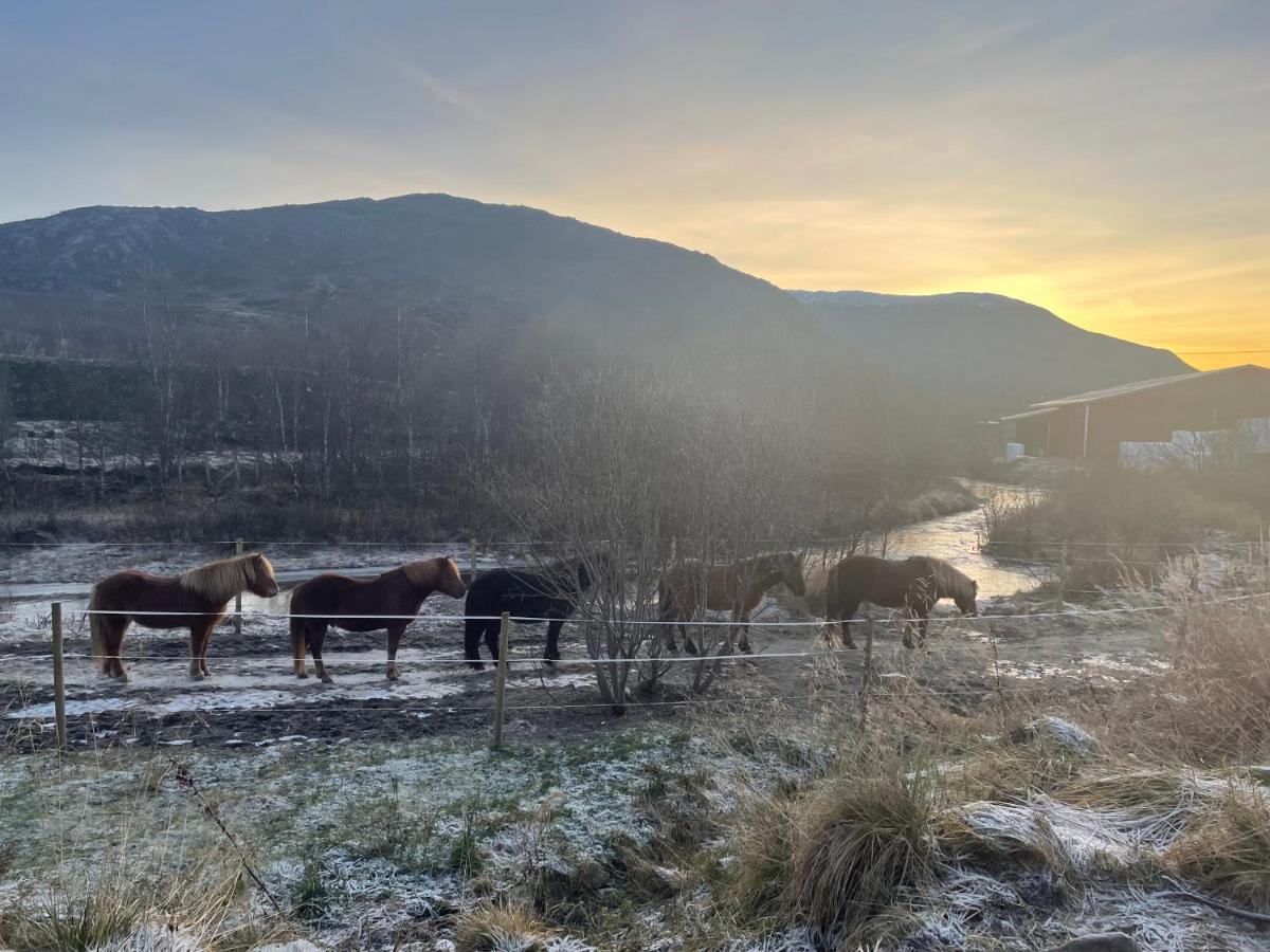Storjord Farmstay Ranchhouse Kvaloya Exterior foto